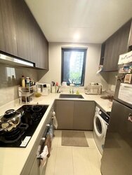 Riverfront Residences (D19), Apartment #456356171